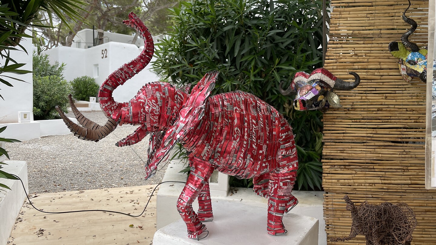 IMG_1048