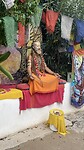 IMG_1051