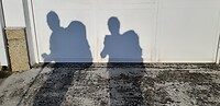 Onze onafscheidelijke metgezellen, ( als de zon schijnt).