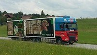 Vrachtwagen T. rex on tour