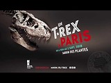 Exposition "Un T. rex à Paris"