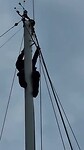 Reparatie in de mast