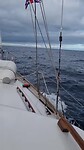 Begeleid door dolfijnen🐬🐬
