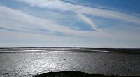 Natuurgebied bij Olhaõ