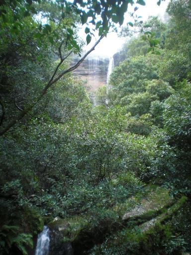 CIMG0233