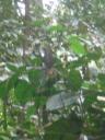 CIMG0586
