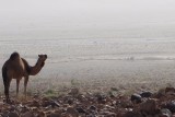 20160118163817