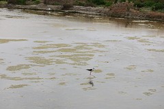 IMG_0123