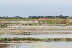 IMG_0120