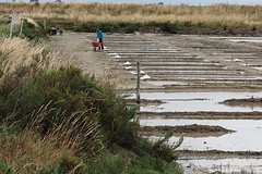 IMG_0129