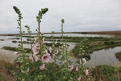 IMG_0141
