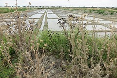 IMG_0159