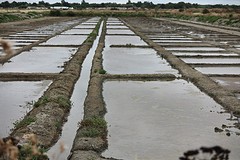IMG_0160