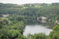 IMG_0350