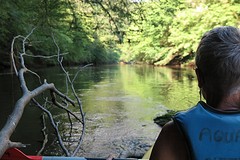 IMG_0353