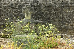 IMG_0415