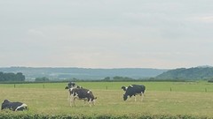 Bij St Geertruid, Limburg