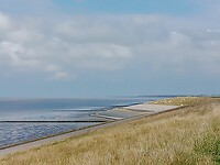 IMG_20210709_141209_067
