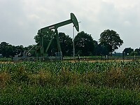 IMG_20210710_143124_404