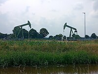 IMG_20210710_143120_528