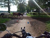 IMG_20210710_174618_511
