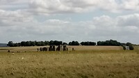 IMG_20240825_115155_262