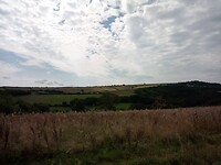 IMG_20240827_121435_479