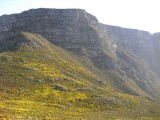 Uitzicht in de richting van de Tafelberg