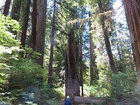 20230525122618_IMG_5877