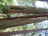 20230525122713_IMG_5879