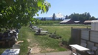 FB_IMG_1685935446381