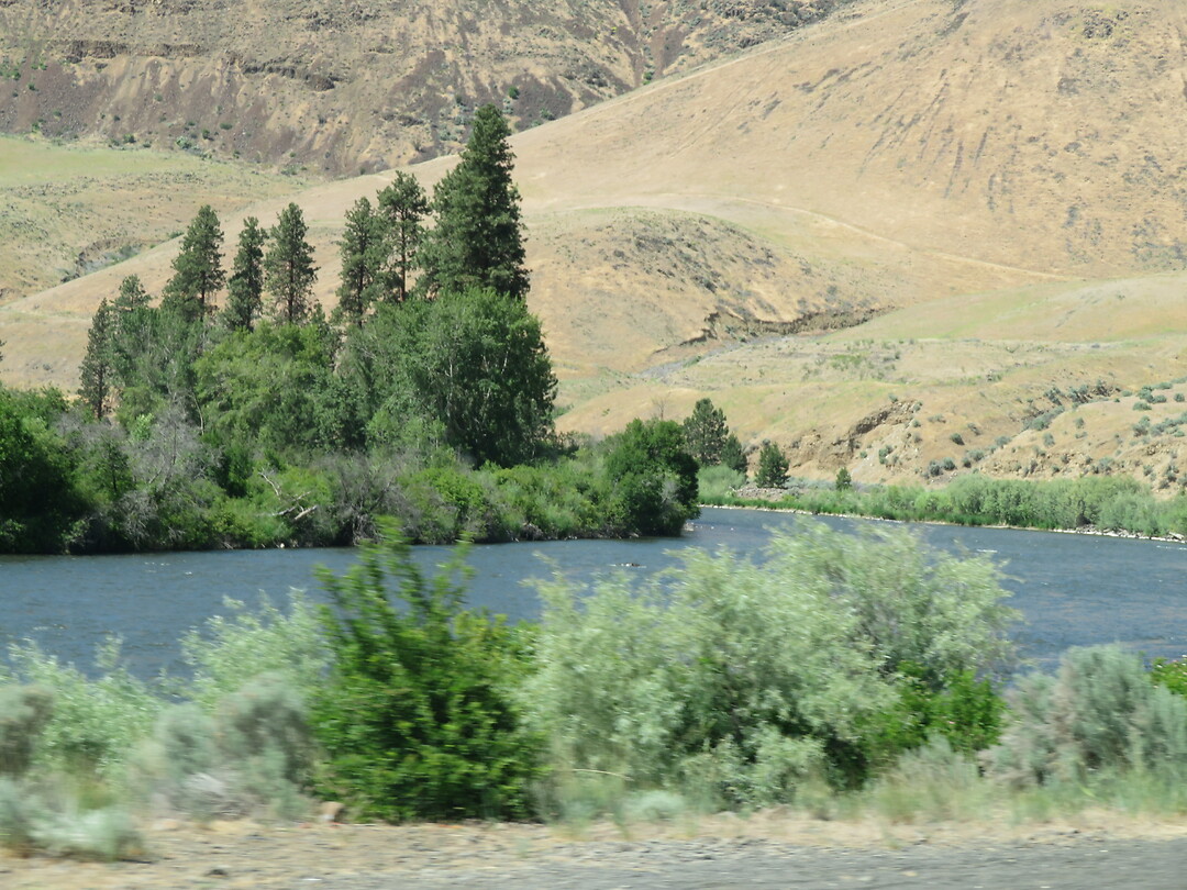 20230607145817_IMG_6782