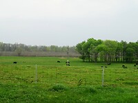 20240401161329_IMG_7276~2