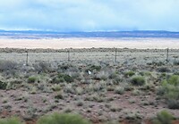 20240408161531_IMG_7646~2