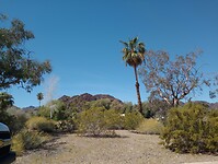 IMG_20240420_133700211
