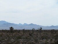 20220326104059_IMG_2949~2