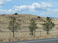 20220331112859_IMG_3363 (1)