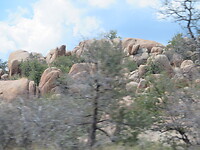 20220331114527_IMG_3369 (1)