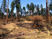20220331154050_IMG_3389~2