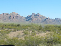 20220403154618_IMG_3523
