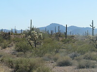 20220403155154_IMG_3524