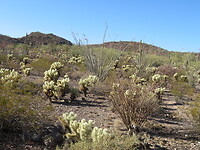 20220403161848_IMG_3529
