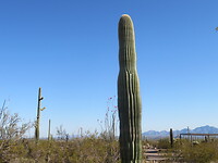 20220403165905_IMG_3543
