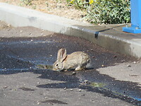 20220404101027_IMG_3573