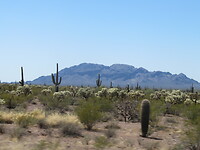 20220404122152_IMG_3581