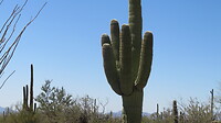 20220405133909_IMG_3648