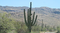 20220406112315_IMG_3684