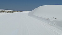 20220411131205_IMG_4039