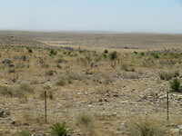 20220412104201_IMG_4086