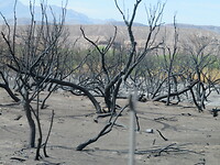 20220415090211_IMG_4241